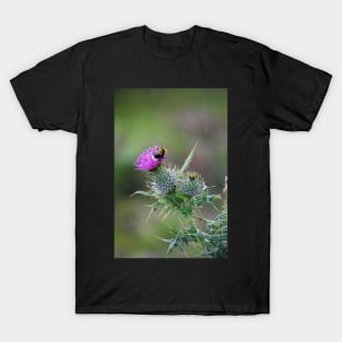 Thistle & the Bee two stingers T-Shirt